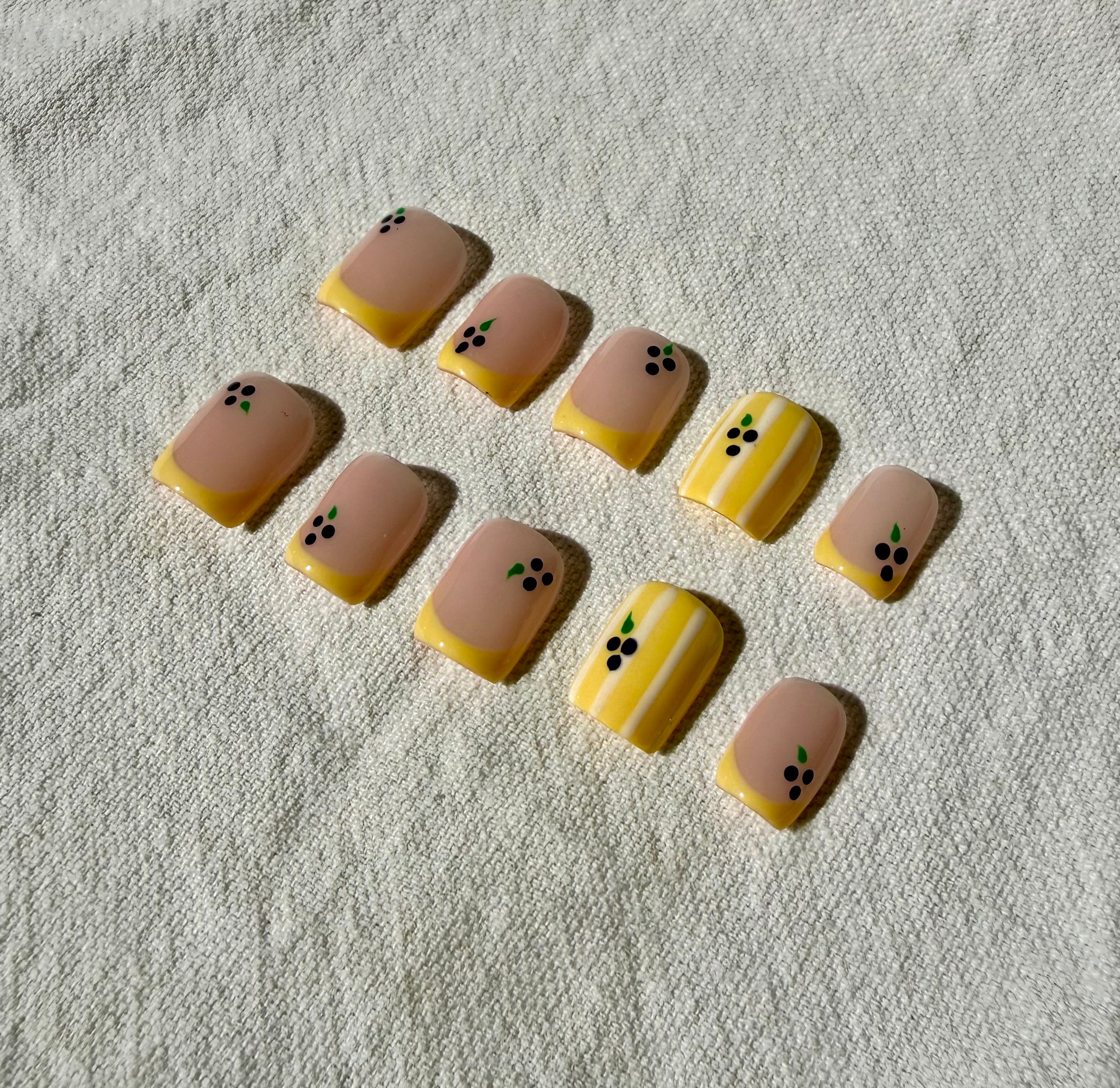 Press On Nails Alicia